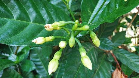 复古单机武侠定档！《梦江湖》7月13日正式发售